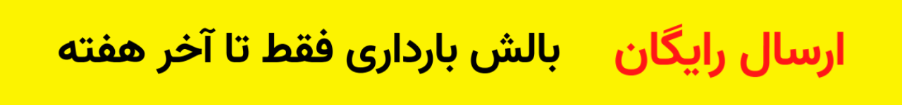 ارسال رایگان بالش بارداری
